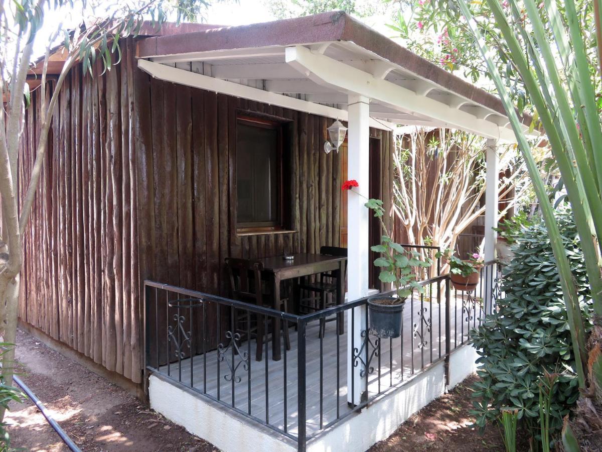 Arriba Pension & Restaurant Gümüşlük Kültér fotó
