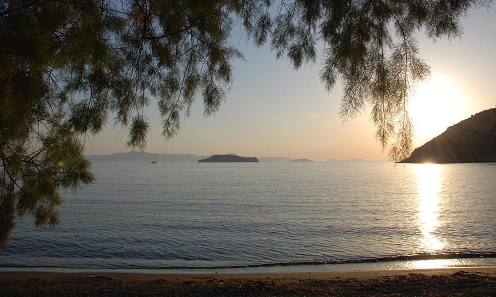 Arriba Pension & Restaurant Gümüşlük Kültér fotó