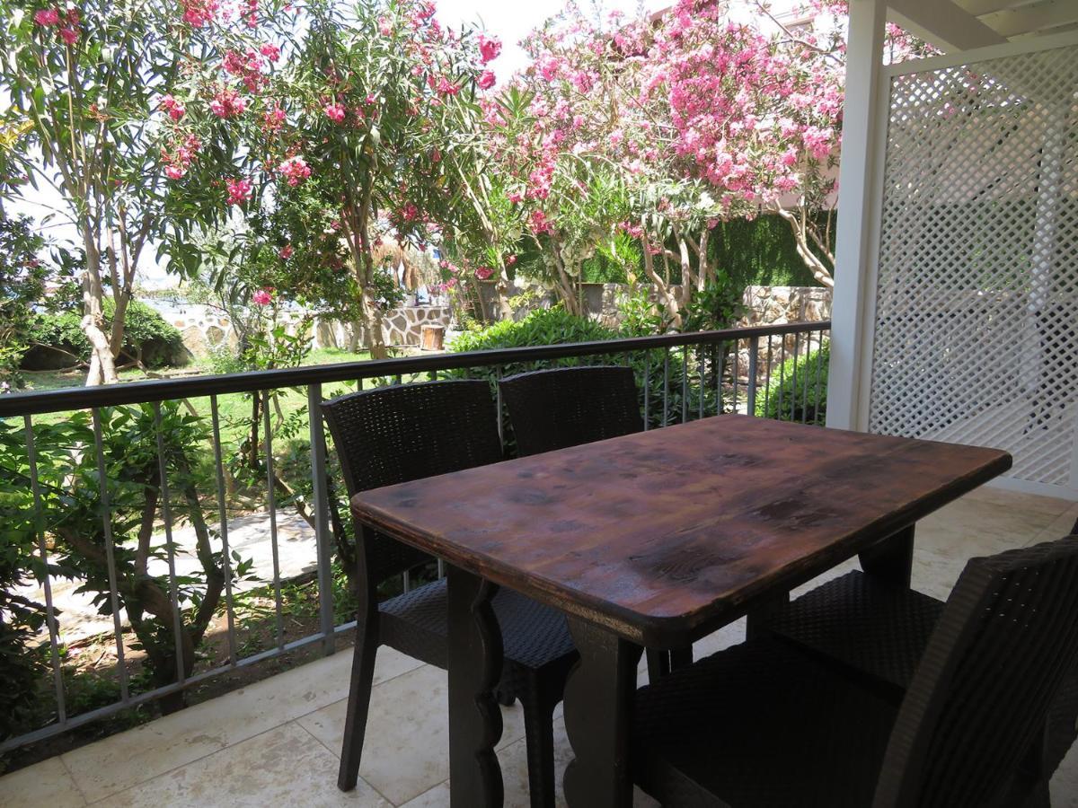 Arriba Pension & Restaurant Gümüşlük Kültér fotó