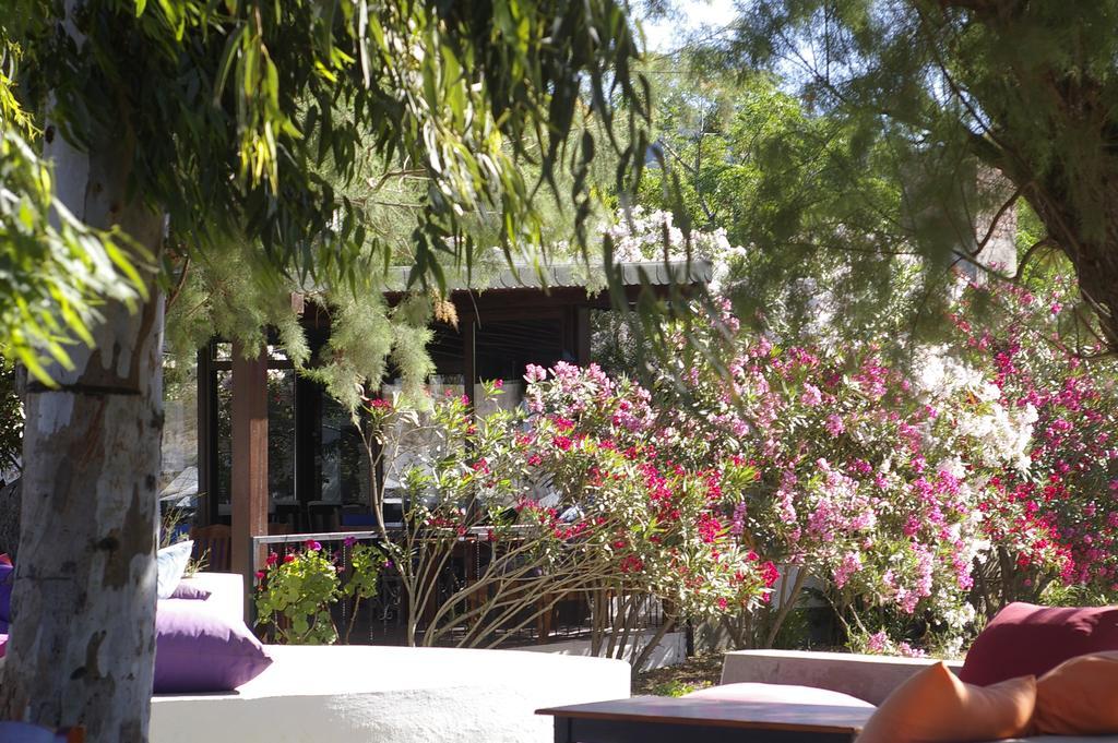 Arriba Pension & Restaurant Gümüşlük Kültér fotó