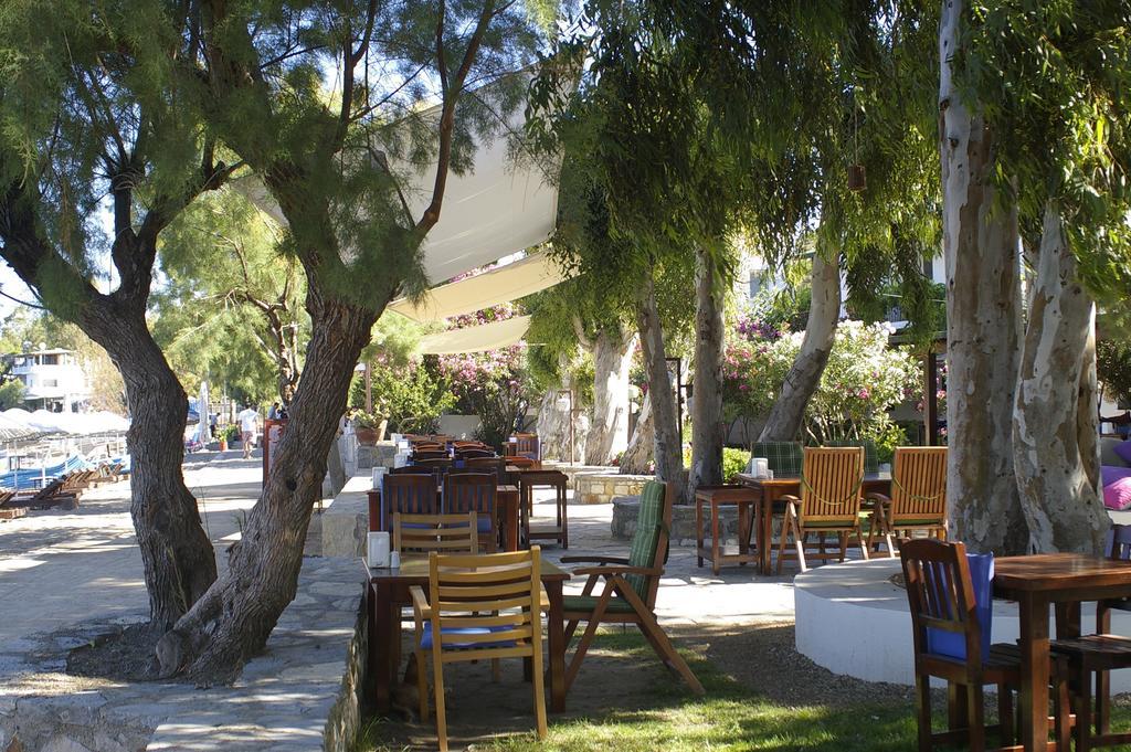 Arriba Pension & Restaurant Gümüşlük Kültér fotó