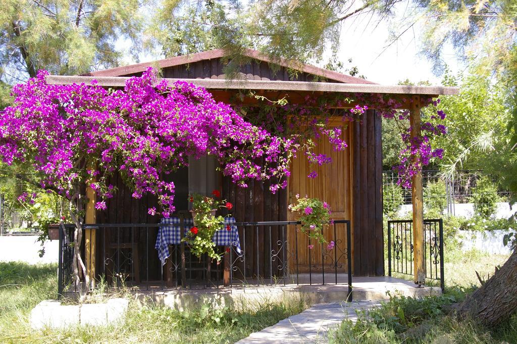 Arriba Pension & Restaurant Gümüşlük Kültér fotó