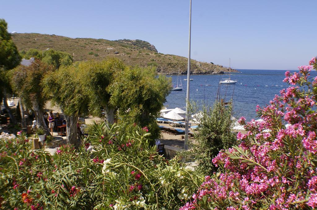 Arriba Pension & Restaurant Gümüşlük Kültér fotó